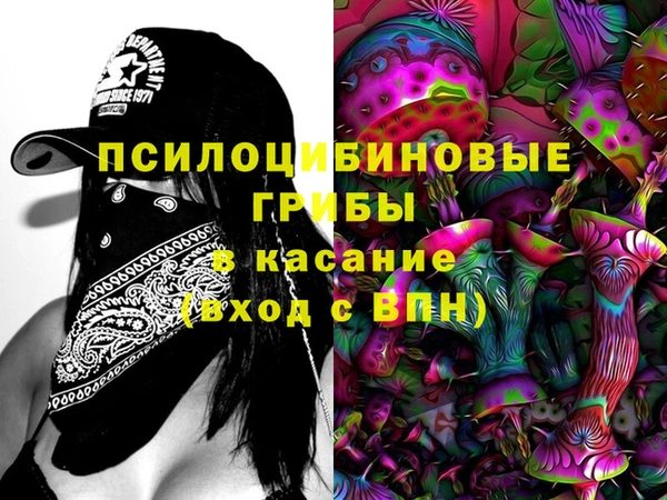 мдпв Армянск