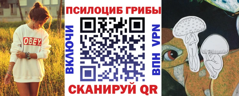 Галлюциногенные грибы Psilocybine cubensis  купить   Севск 